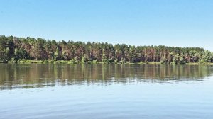 Решил половить КРУПНОГО ОКУНЯ и Вот что из этого Вышло! Рыбалка на спиннинг в Июне