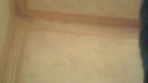 Растяжка на шпагат от Полины и качаясь и качаем и качаем пресс???😺🙉🙉🙉🙉😺😺😺😺😺😺😺😺