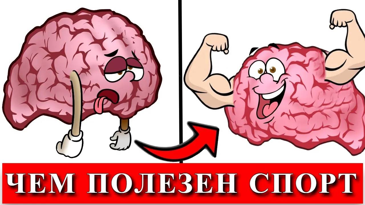 Почему нужно заниматься спортом | Как спорт может изменить жизнь смотреть онлайн