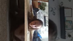 Как садиться на шпагат. Учу как делать равновесия