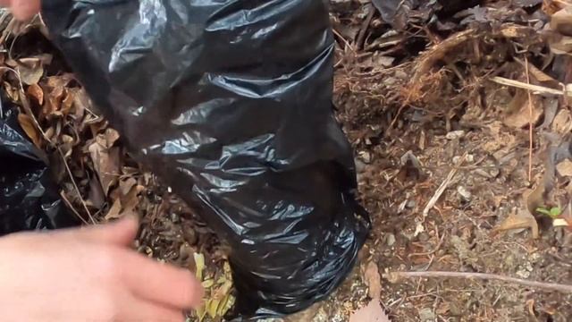 クロモジの山採り(取木)1 смотреть онлайн