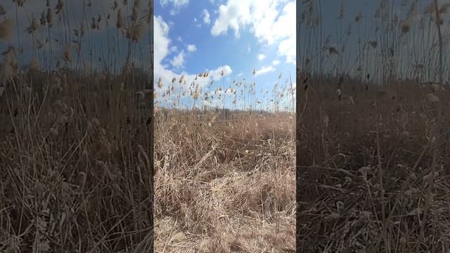Набережная Донецка сегодня
