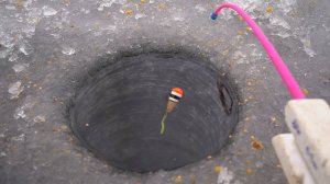 Закормил сверху лунку и поплавок сразу всплыл. Зимняя рыбалка