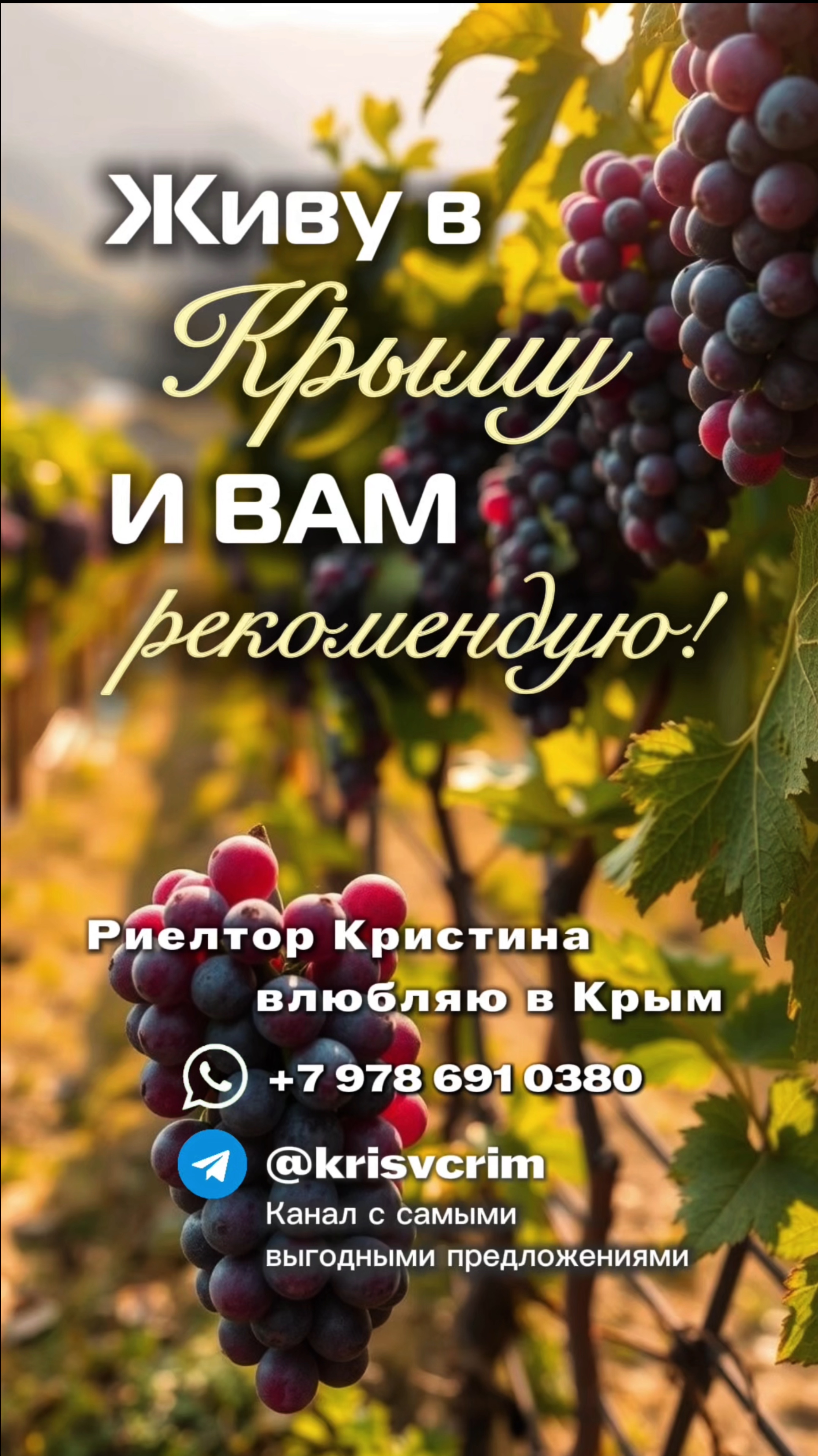 Горы и море - все на моей ладони #переезднаюг #крымскаявесна #дачавкрыму #домвкрыму #крымморе #Крым