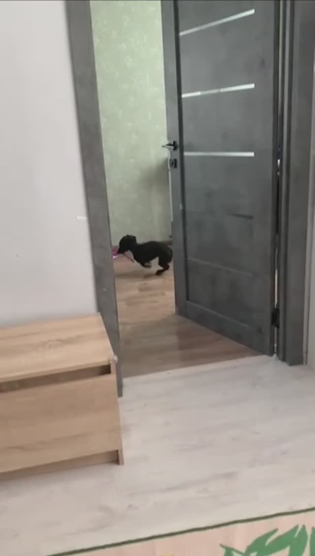 Переполненные эмоции от новой игрушки с OZON смотреть онлайн