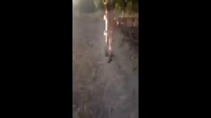 Валера проспорил бежал голый по полю!!!