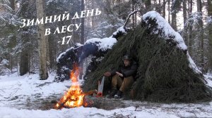 Один день в зимнем лесу