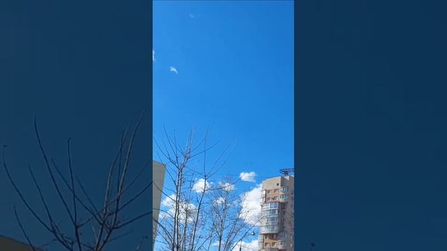 какое небо голубое!