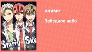 Звёздное небо 26 серия (аниме-сериал, 2010)