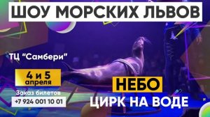 🎥Василий КОЛОС/ЦИРК на ВОДЕ «НЕБО/БЕЛОГОРСК/ЧЕХОВШОУ.РУ