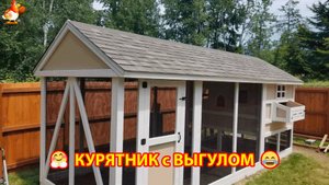 Дачный курятник на лето с выгулом своими руками пошагово для кур несушек и цыплят