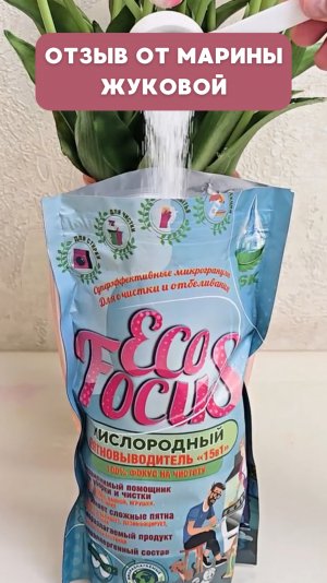 EcoFocus: ВСЁ ЛИ ТАК ВОЛШЕБНО?