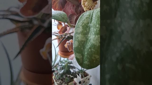 Для настроения 🥰!
