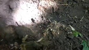 В Гостях У компота!!!