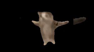 это видео длится 4 сек