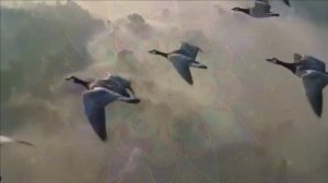 Любовь на двоих-песня Александра Буйнова кавер Г.Погорельская