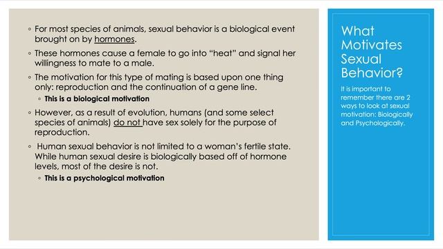 Human Sexuality смотреть онлайн