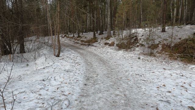 Гремячая грива 20 марта Красноярск 2025г.