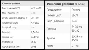 ✔ Подгрызающие совки. Меры борьбы и профилактики против совки.
