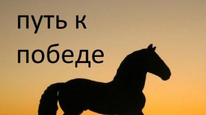 путь к победе 1 сезон 2 серия