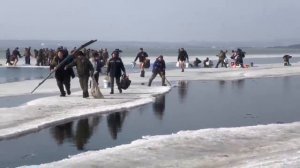 Рыбак спасся