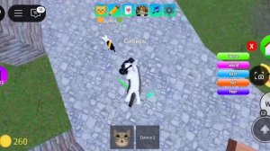 Секретные позы в kitten game