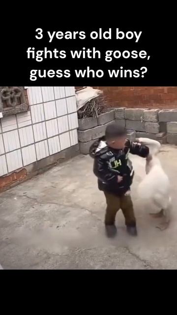 Three-year-old boy fights with goose, guess what happened? смотреть онлайн