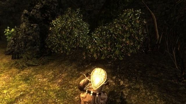 Risen LP 15 - 1/3 - Who let the wolf out? смотреть онлайн