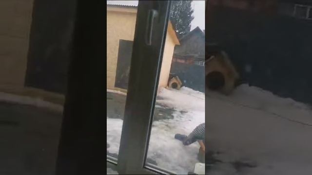 Деревня дураков в МО!
