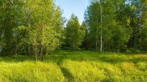 Стоматологическая клиника БЬЮТИ-ДЕНТ — Музыка для ожидания