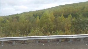 Алтай - Сахалин - Якутия.