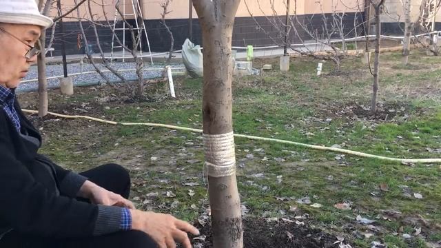 КАК ИЗБАВИТЬСЯ ОТ МУРАВЬЕВ. Действует 100%. 8 лет борьбы