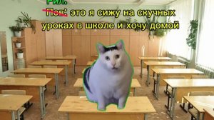 Рил: я на уроке