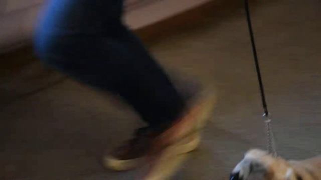 DSC 0091 смотреть онлайн