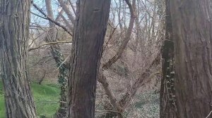 Аршинцево. Прогулка по склону у моря. Весна вступает в свои права.