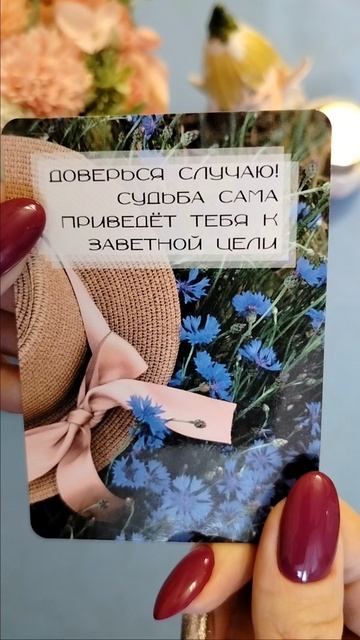 Подсказка вселенной 🌌