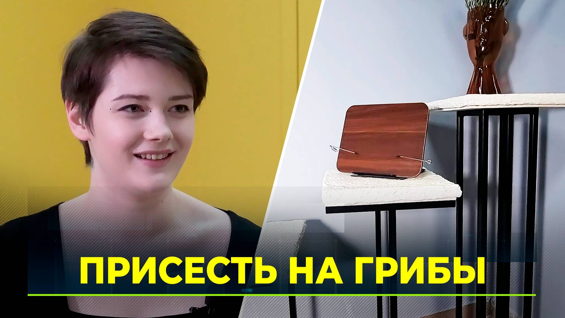 В Петербурге грибы едят мусор и превращаются в мебель