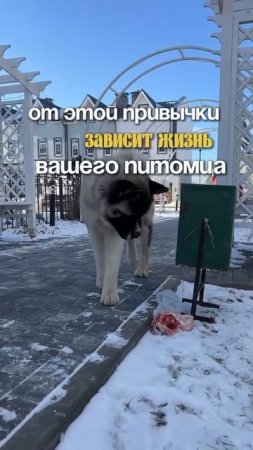 Разверните описание ⬇️