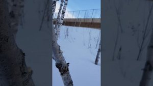 не ездите зимой на велике