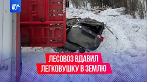 Лесовоз упал на машину и вдавил ее в землю с водителем и пассажиром внутри в Иркутской области