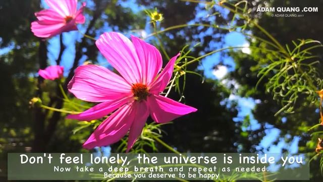 Cosmo flower Slow motion Meditation смотреть онлайн