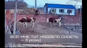 Я ухожу)