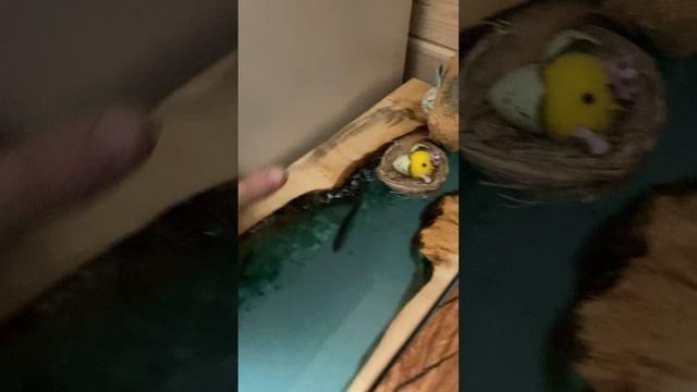 Столешница - бутылочница на кухне в моём доме своими руками