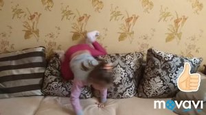 Лиза  показывает шпагат!