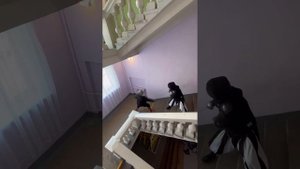 Какие-то канальи…