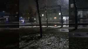 УЛЕТЕЛИ  ЛИСТЬЯ  С  ТОПОЛЕЙ (кавер).5 ноября 2023 г.