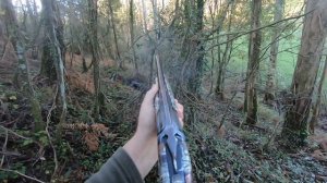 becada Xesta 21/11/2019