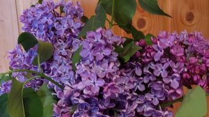 Счастья, я желаю счастья!!! Счастья самого простого, а другого счастья в нашей жизни нет!!!!