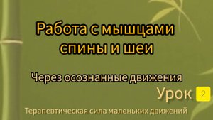 Урок 2. Работа с мышцами шеи , живота, стабилизация таза. Терапевтическая сила  маленьких движений