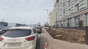 цивилизация на неве 100